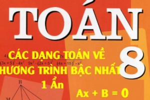 Các dạng toán về Phương trình bậc nhất một ẩn và bài tập vận dụng - Toán lớp 8